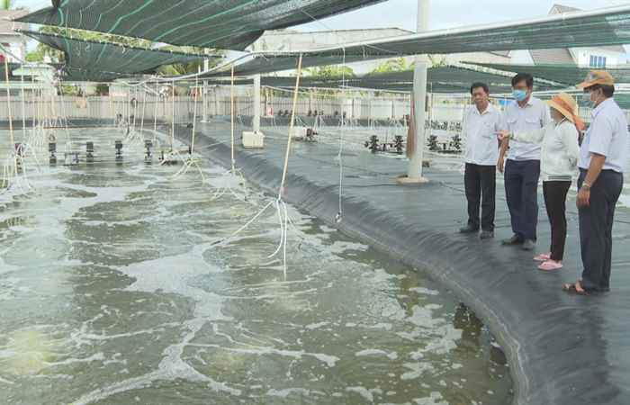  Bệnh Vi bào tử trùng trên tôm và giải pháp phòng trừ (25-05-2021)